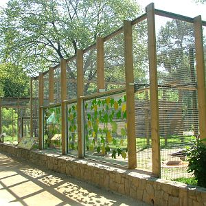 Vulture Aviaries at Barcelona, 30/05/11