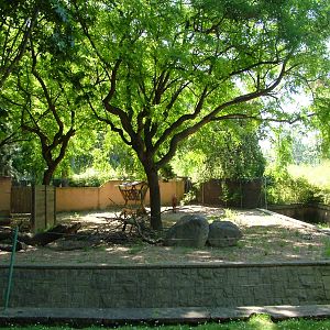 Eastern Bongo Paddock at Barcelona, 30/05/11