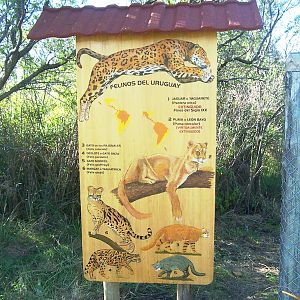 Bioparque M'Bopicuá (Uruguay)