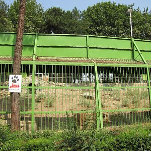 Syrian brown bear Exhibit(tehran zoo)