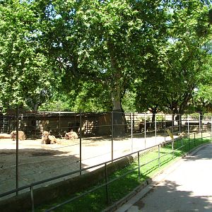 Cattle Paddocks at Barcelona, 30/05/11
