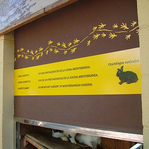 Rabbit Signage at Barcelona, 30/05/11