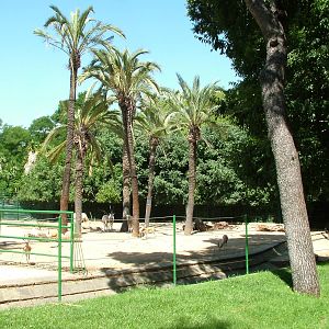 Oryx and Gazelle Paddock at Barcelona, 30/05/11