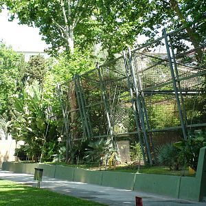 Cat House at Barcelona, 30/05/11