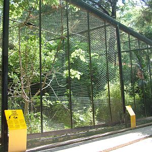 Hornbill Aviaries at Barcelona, 30/05/11