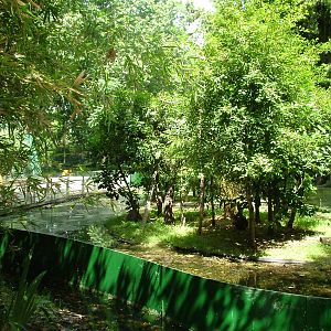 Callitrichid House at Barcelona, 30/05/11