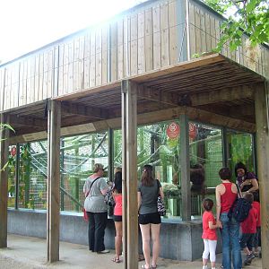 Orang-Utan Exhibit at Barcelona, 30/05/11