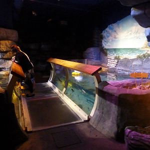 Path through the ray tank