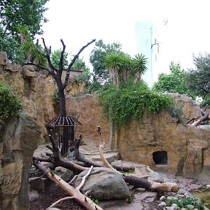 Bear Exhibit at Barcelona, 30/05/11