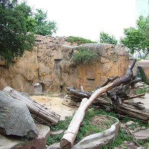 Bear Exhibit at Barcelona, 30/05/11