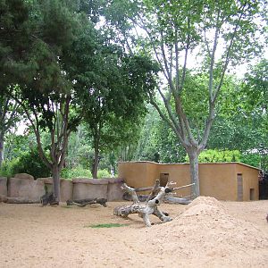 New Warthog Exhibit at Barcelona, 30/05/11