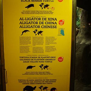 Signage Example at Barcelona, 30/05/11