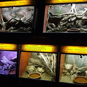 Smaller Vivariums at Barcelona, 30/05/11