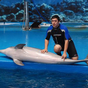 Dolphin Show at Barcelona, 30/05/11