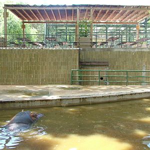 Hippo Pool at Barcelona, 30/05/11
