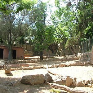 Deer Paddock at Barcelona, 30/05/11