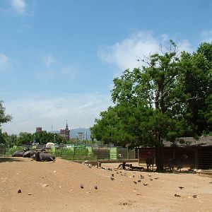 African Paddock at Barcelona, 30/05/11