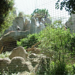 White Stork Exhibit at Barcelona, 30/05/11