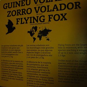 Signage Error at Barcelona, 30/05/11