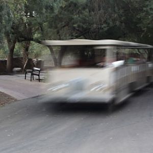 zoo tram
