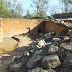 Enclose of Helarctos malayanus