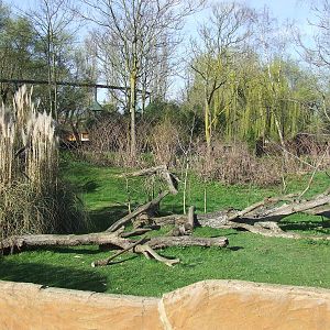 Enclose of Varecia variegata variegata