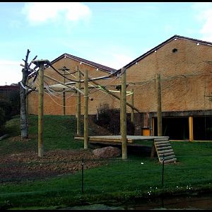 enclose of gorilla gorilla