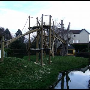 enclose of Pongo pygmaeus pygmaeus