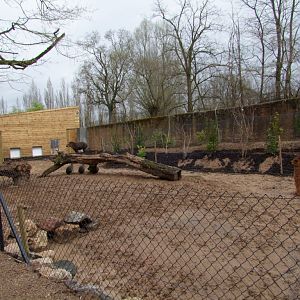 enclose of Tapirus terrestris