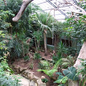 Tropical greenhouse