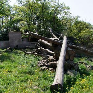 Enclose of Nasua nasua