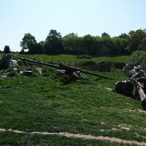 enclose of Ursus americanus