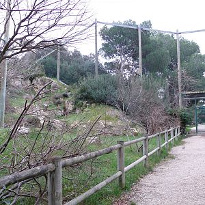 Vulture walk-through aviary
