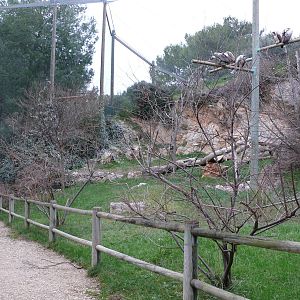 Vulture walk-through aviary