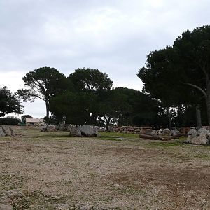 White rhinos exhibit