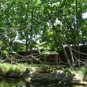 Spider Monkey Islands at Barcelona, 30/05/11