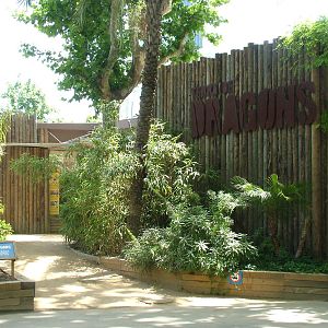 Komodo Dragon Exhibit Entrance at Barcelona, 30/05/11