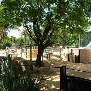 Elephant Paddock at Barcelona, 30/05/11