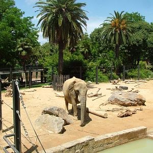 Elephant Paddock at Barcelona, 30/05/11