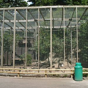 AVAIRY FOR LITTLE EGRETS AND WALDRAPPS