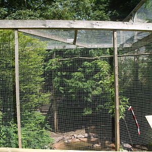 AVAIRY FOR PUNA IBIS AND HOTTENTOT DUCKS