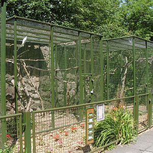 AVAIRY FOR COCKATOOS