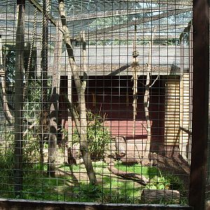 HOWLER MONKEY ENCLOSURE