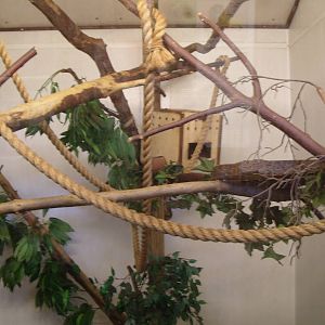 EMPORER TAMARIN INDOOR ENCLOSURE