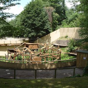GELADA BABOON ENCLOSURE