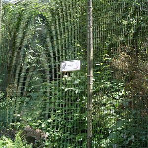 GEOFFROYS CAT ENCLOSURE