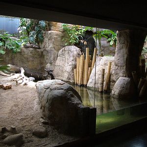 Reptile House Interior at Barcelona, 30/05/11