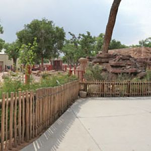 asian elephant exhibit - panorama