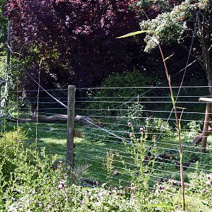 LARS GIBBON ENCLOSURE