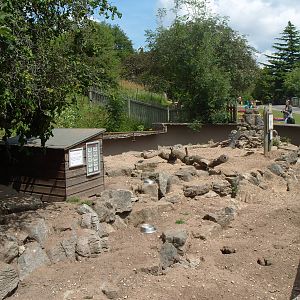 MEERKAT ENCLOSURE